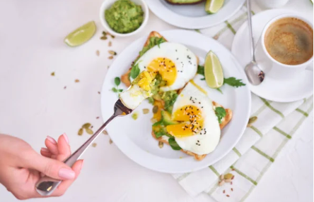 Egg nutrition